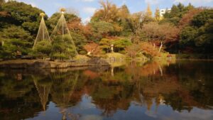 旧古河庭園で紅葉を楽しもう